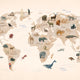 Mapa global Fauna multicolor