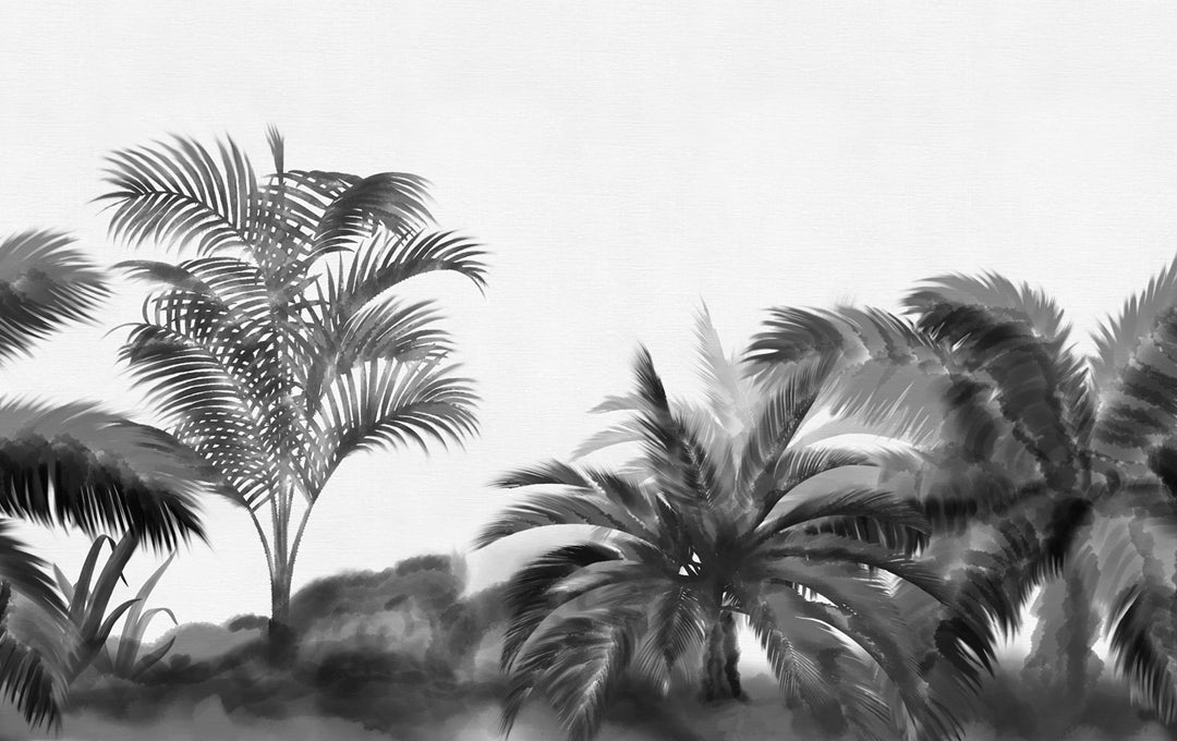 Palmar Blanco y Negro