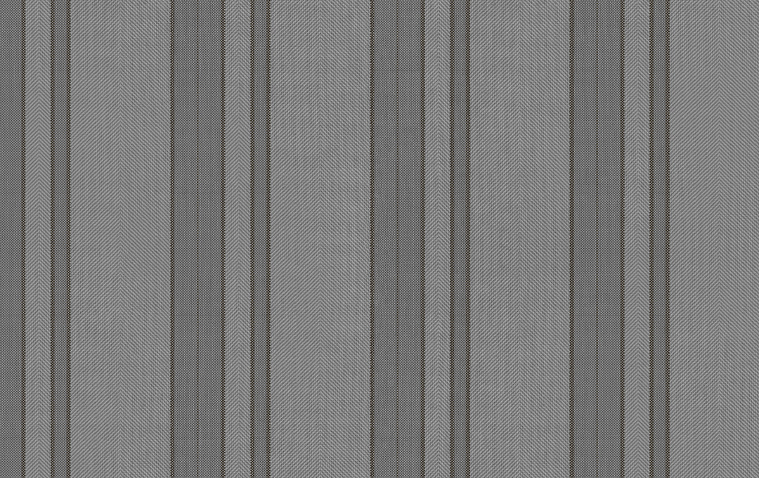 Gray Nóridcas lines