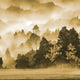 Panorama giallo Misty Ridge