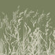 Whispering Reeds Wallpaper Verde