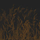 Whispering Reeds Wallpaper Brown