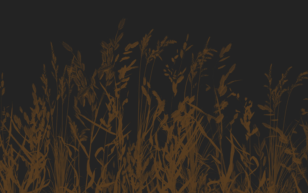 Whispering Reeds Wallpaper brown sample