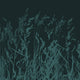 Whispering Reeds Wallpaper Blue