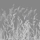 Whispering Reeds Wallpaper Grey