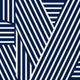 Linear Dynamics Navy Blue