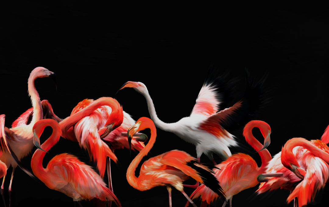 Flamingo Fête Negro