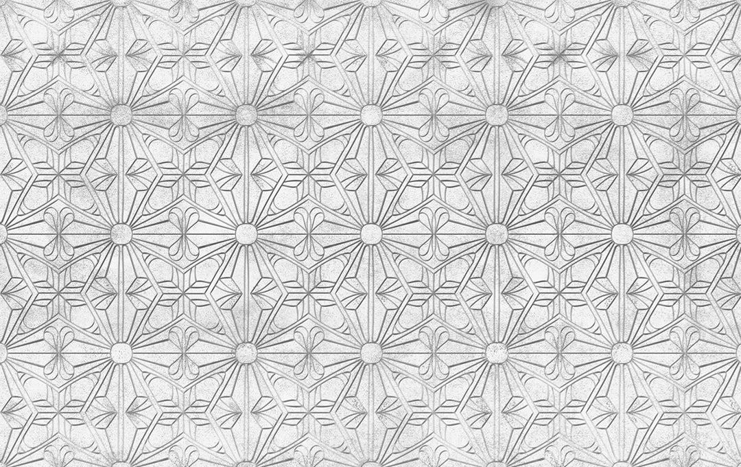 Muestra de Geometría Sutil Blanco y negro