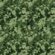 Verdant Canopy Green