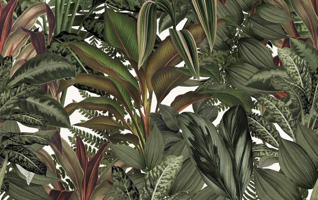 Δείγμα Tropical Tapestry Verde