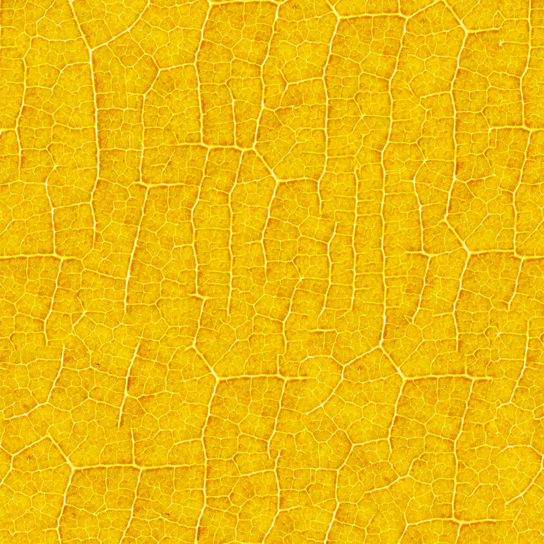 Yellow Golden Crackle Sample