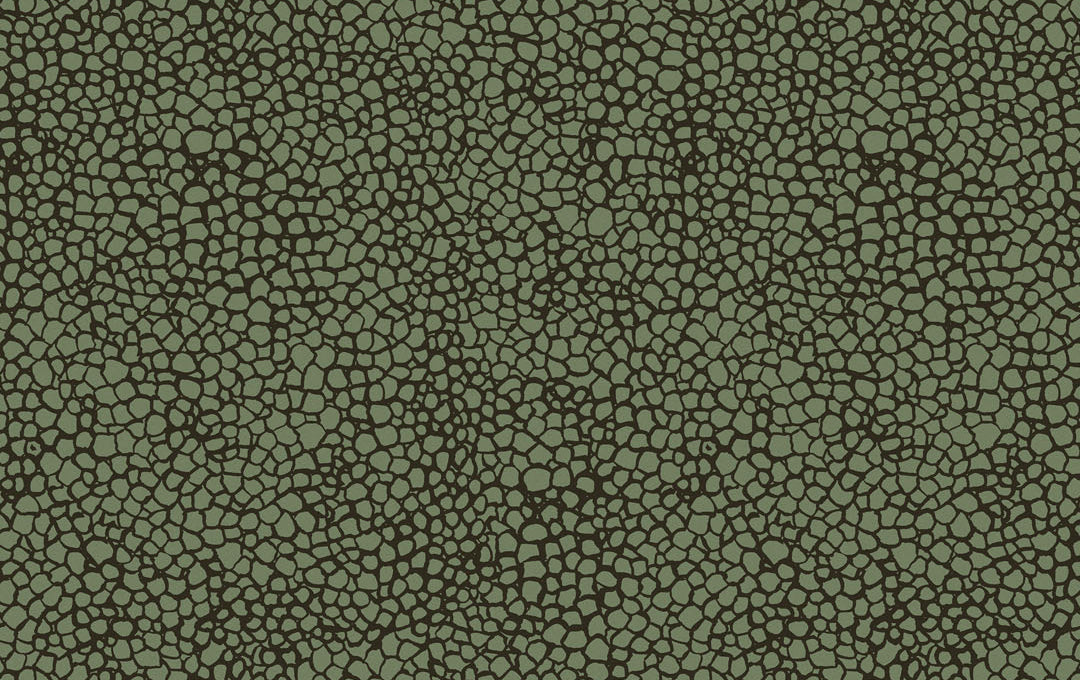 LACE GREEN Coral Sample