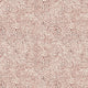 Coral Lace Beige