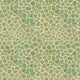 Giraffe Verde